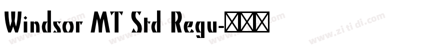 Windsor MT Std Regu字体转换